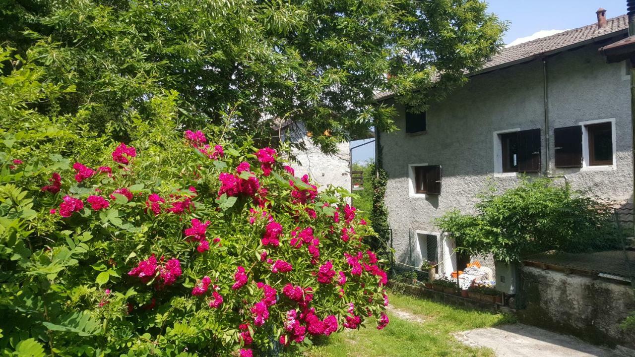 Casa Ronit Villa Delebio Bagian luar foto
